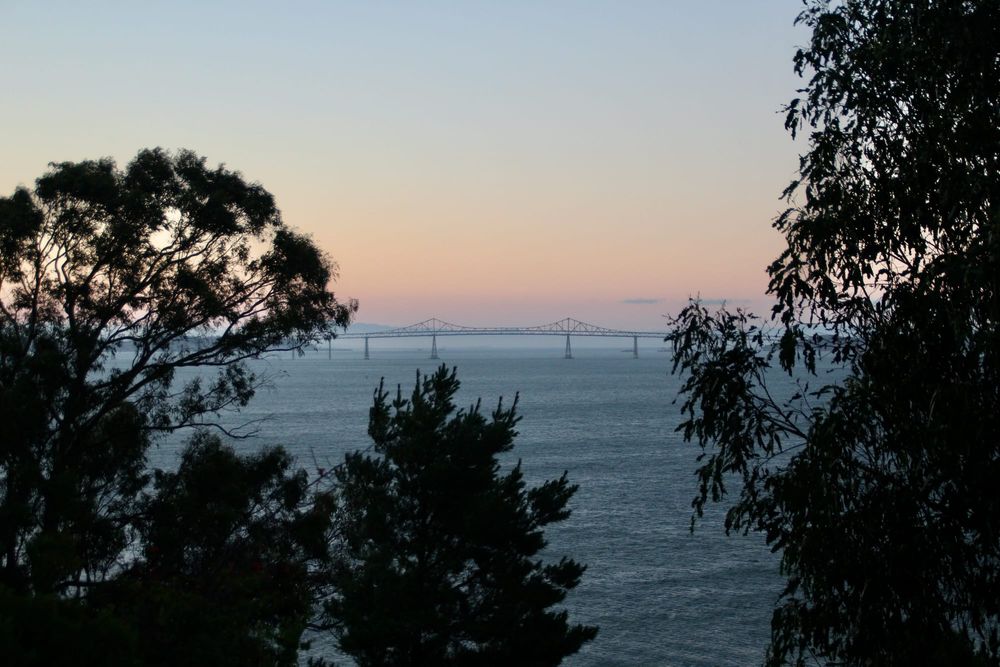 2026 Social Security tax thresholds (for '25 tax year): What California filers need to know post image