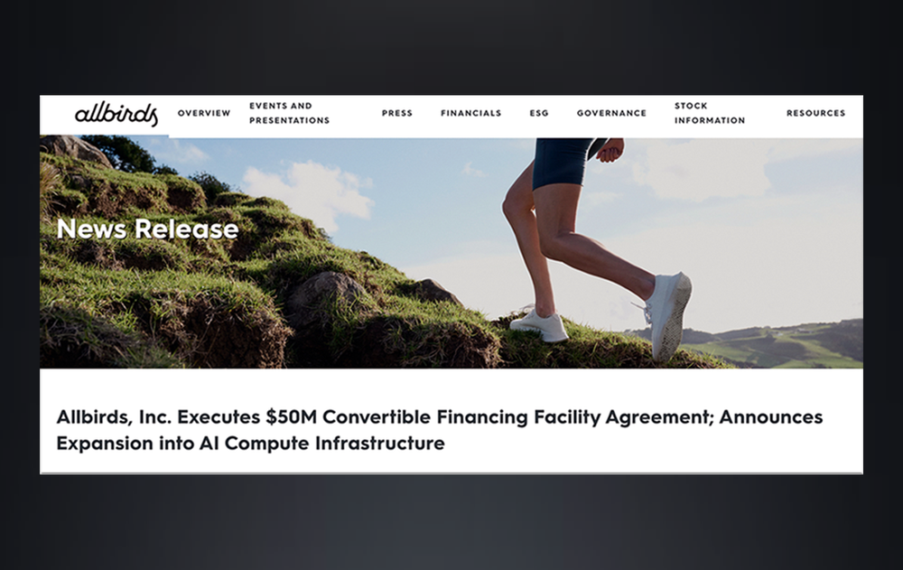 What, exactly, is "NewBird AI"? Allbirds pivots to AI sixteen days after CEO announces dissolution post image