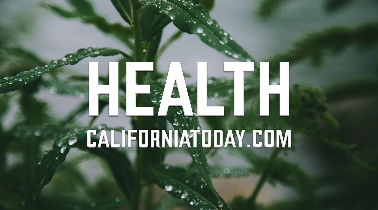 Health post image
