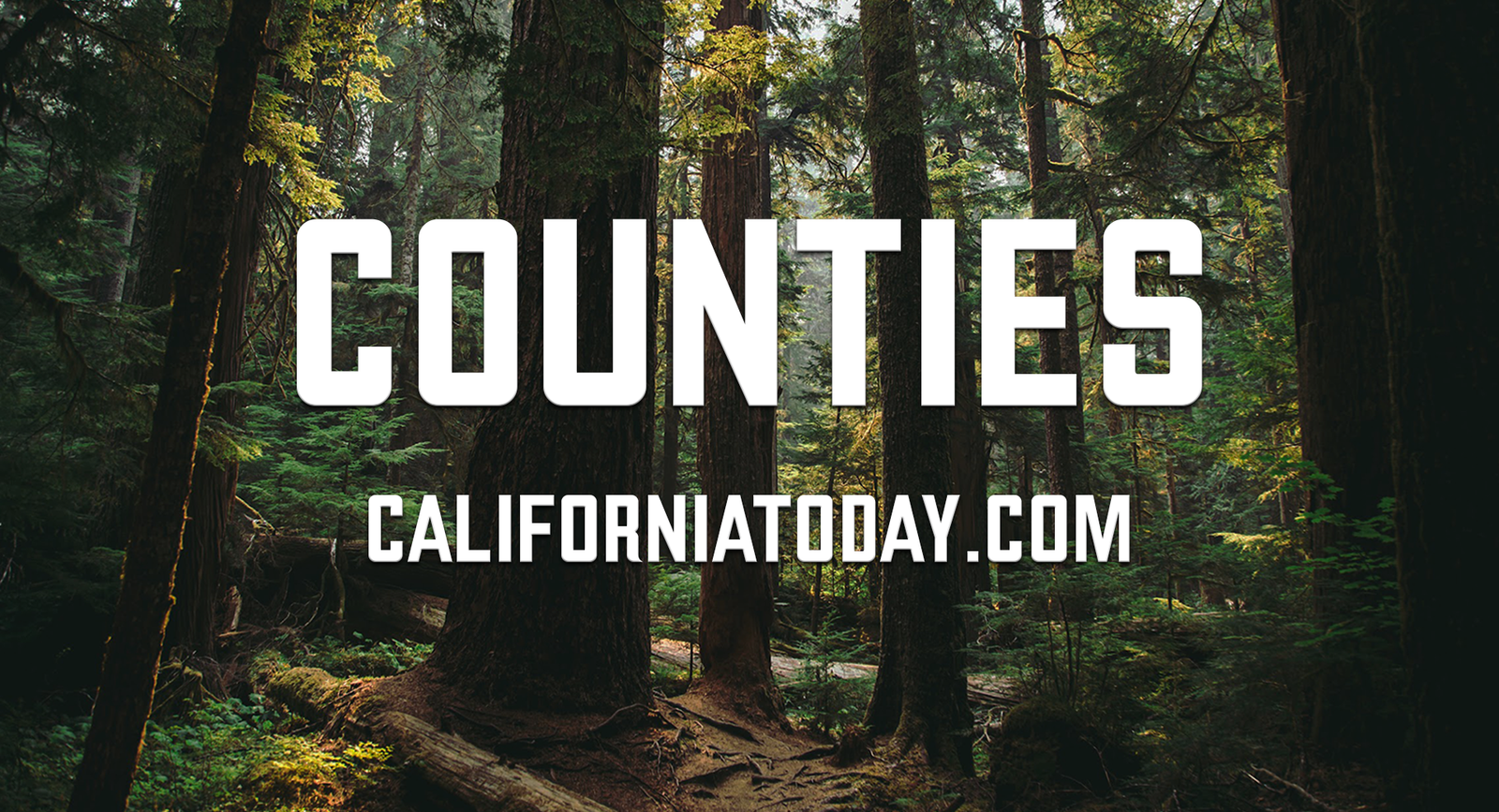 Complete List of California's 58 Counties: Official Websites and County Codes post image