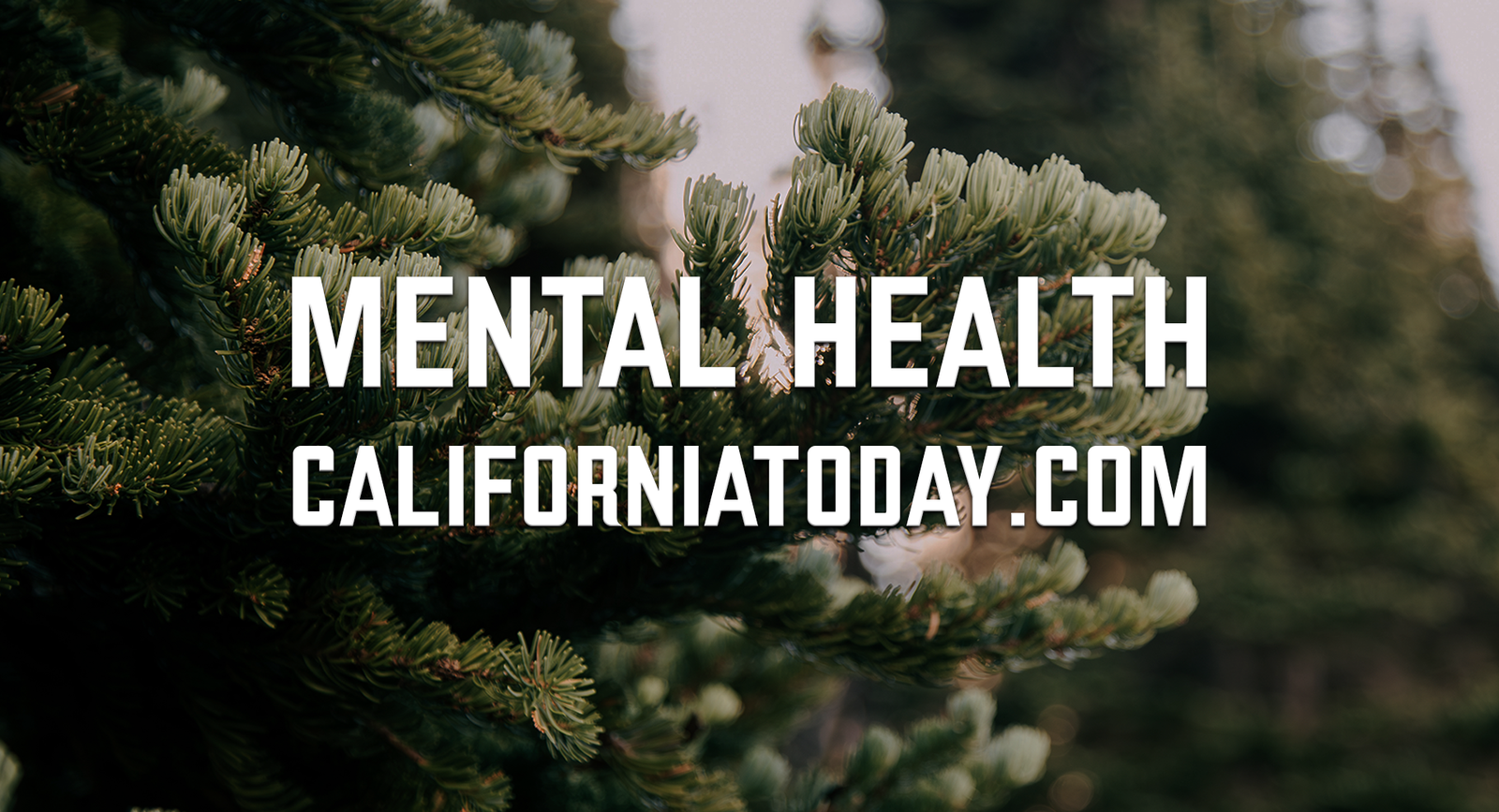 Mental Health post image