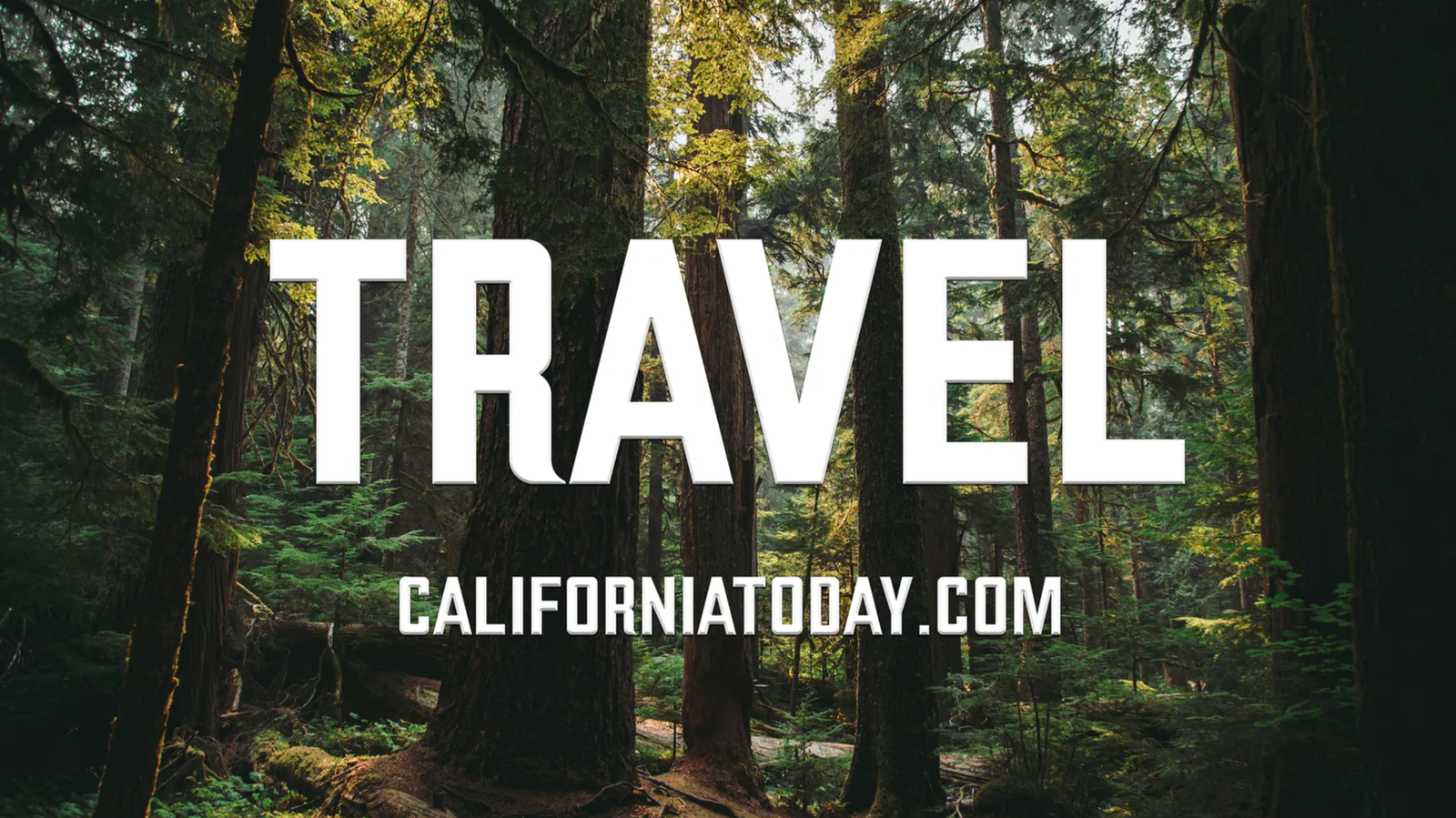 Transportation post image
