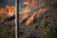 Power line equipment has burned 1.49 million acres in CA since 2000—State records show PG&E responsible for 86% post image