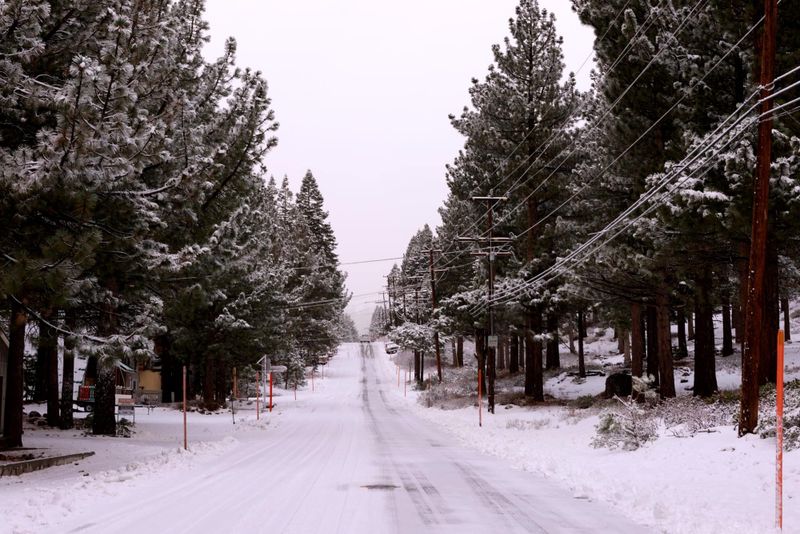 Snow socks approved by Caltrans for winter driving in California.