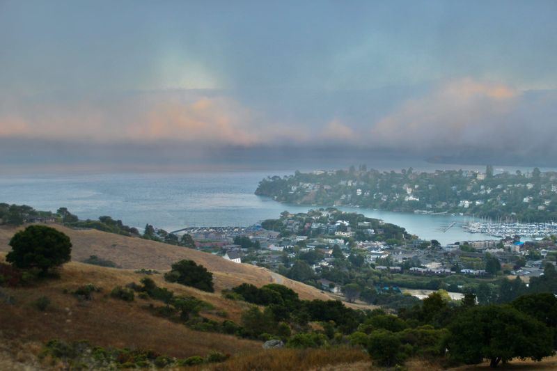 California’s Mental Health Program Statistics.