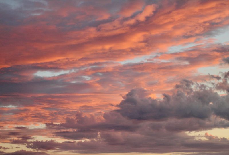 2026 California State Disability Insurance (SDI) Voluntary Plan guide post image