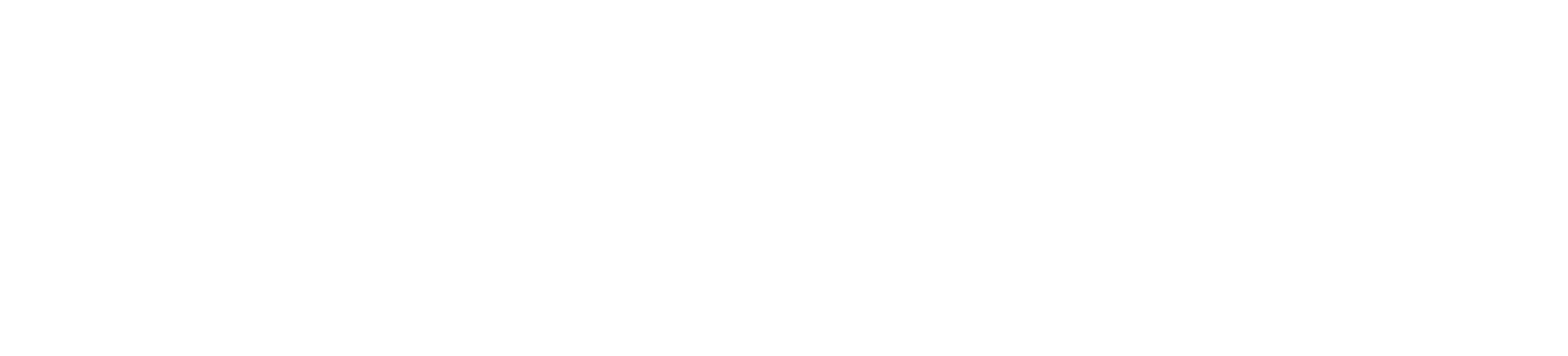 Fractional Chief AI Officer Services