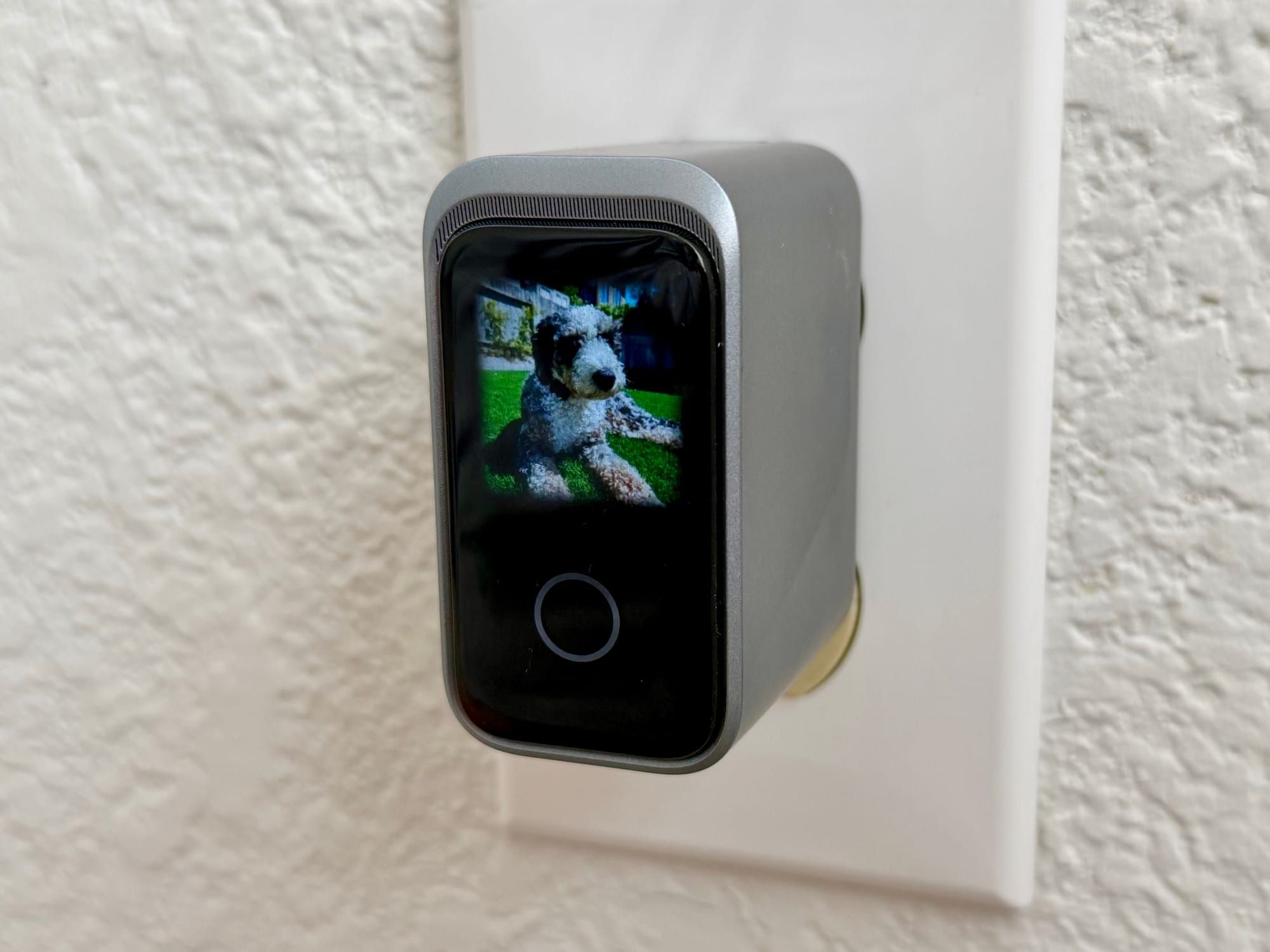 I put my dog’s photo on this laptop charger—and now I’m obsessed with it