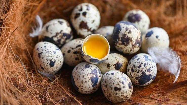 Speckled quail eggs in a nest, one cracked open showing the yolk