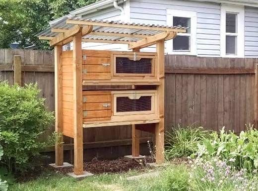 Two-tier wooden quail hutch with pergola roof against a garden fence