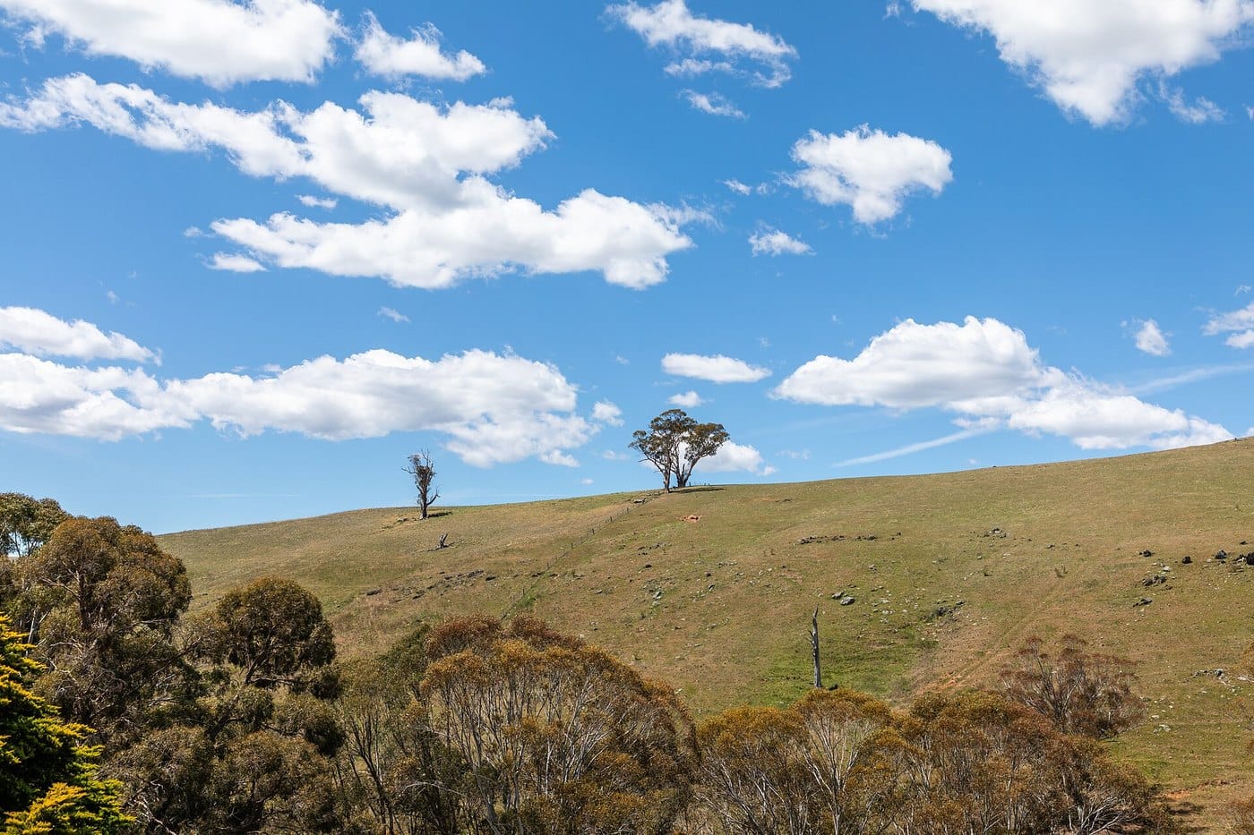 Rolling green hillside under a bright blue sky with scattered white cumulus clouds