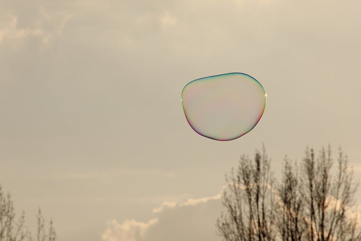 Iridescent soap bubble floating in front of a pale sky and bare treetops