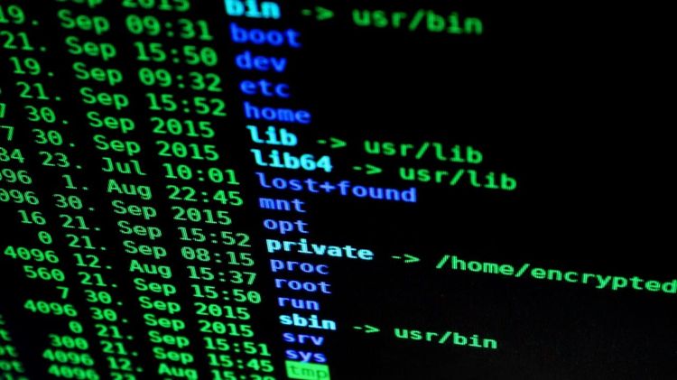 Key Protocols for SAP Security – and How to Optimize Them