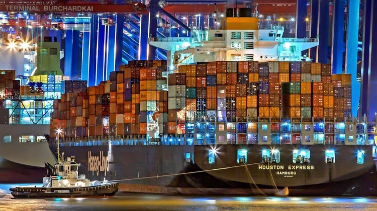 The Hamburg Declaration: A Milestone for Responsible AI