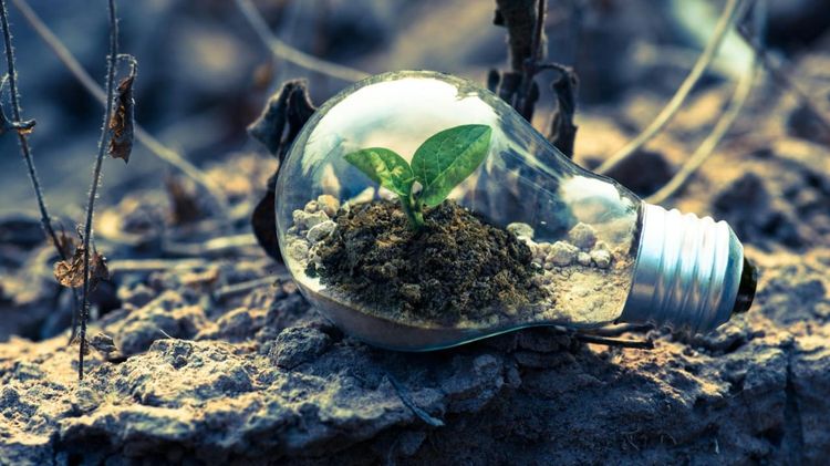 Shaping a Sustainable Future with Responsible AI