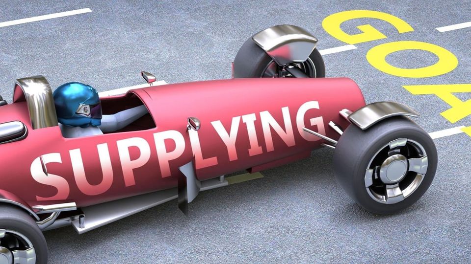 🔗 Managing Supply Chain Risks