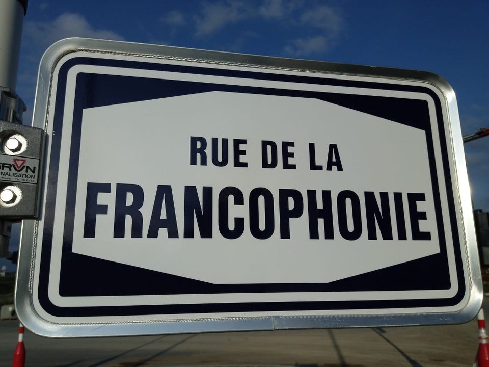 La Francophonie : 321 millions de francophones dans le monde (et la plus grande ville francophone n’est pas Paris) - 321 million French speakers worldwide (and the largest French-speaking city isn’t Paris) (level B1-B2)