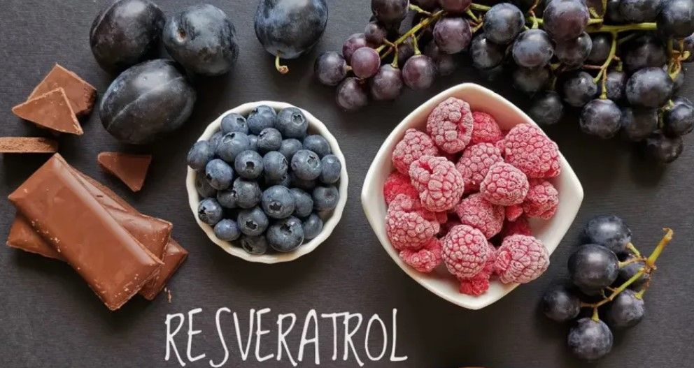 best resveratrol supplements