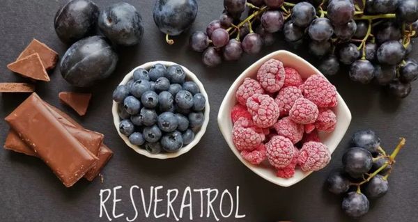 best resveratrol supplements