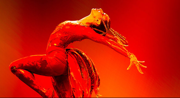 Firebird Lands at the Arsht