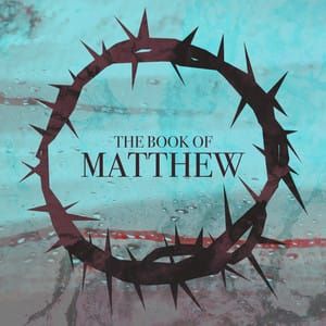 Why the Book of Matthew Is My Favorite Gospel