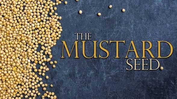 Finding God in the Small Moments