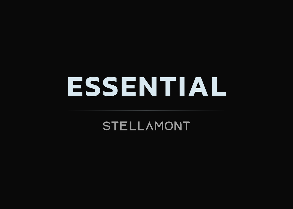 Welcome to Stellamont M&A Essential Services: Know What Buyers See