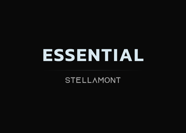 Welcome to Stellamont M&A Essential Services: Know What Buyers See