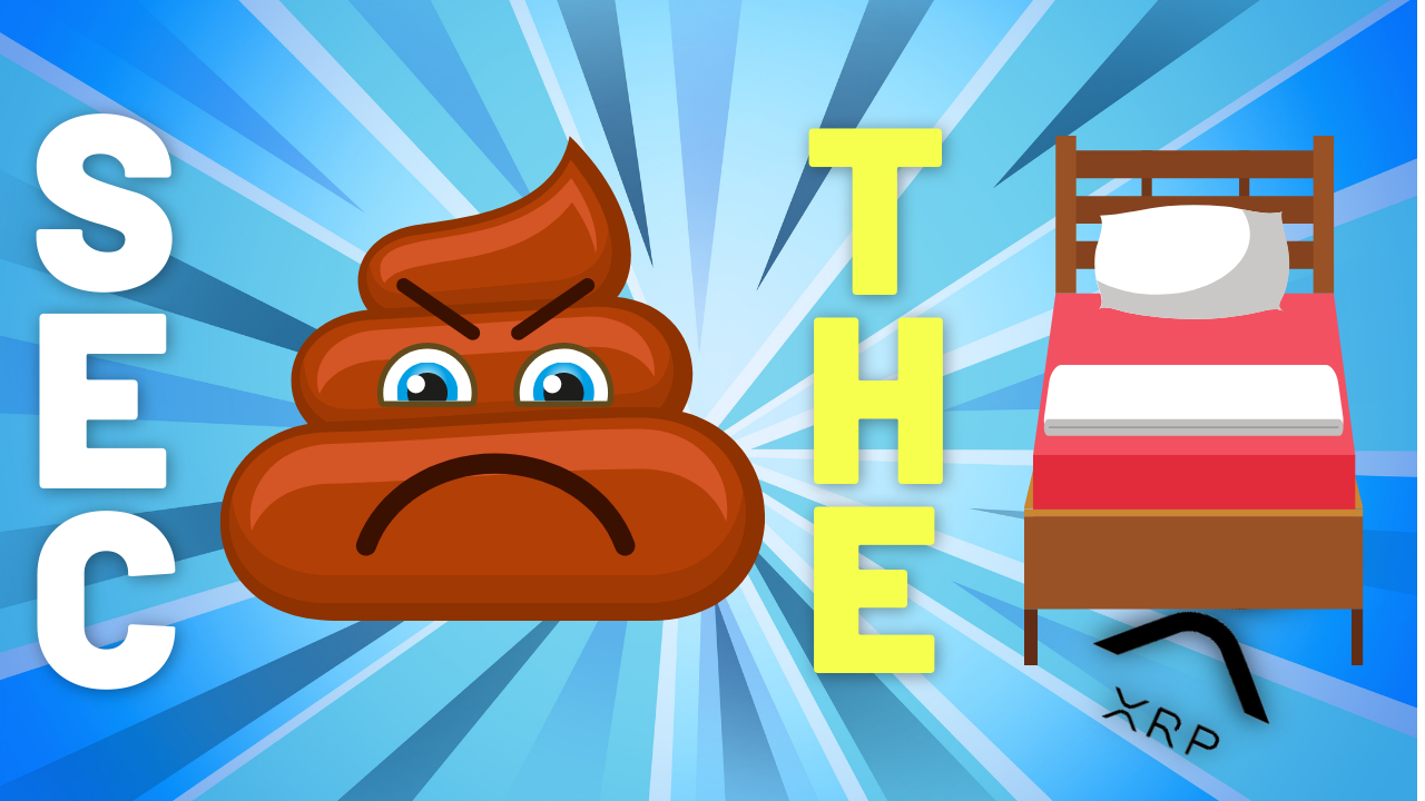 Brad Garlinghouse in The Hot Seat with SEC - David Schwartz Makes Jokes