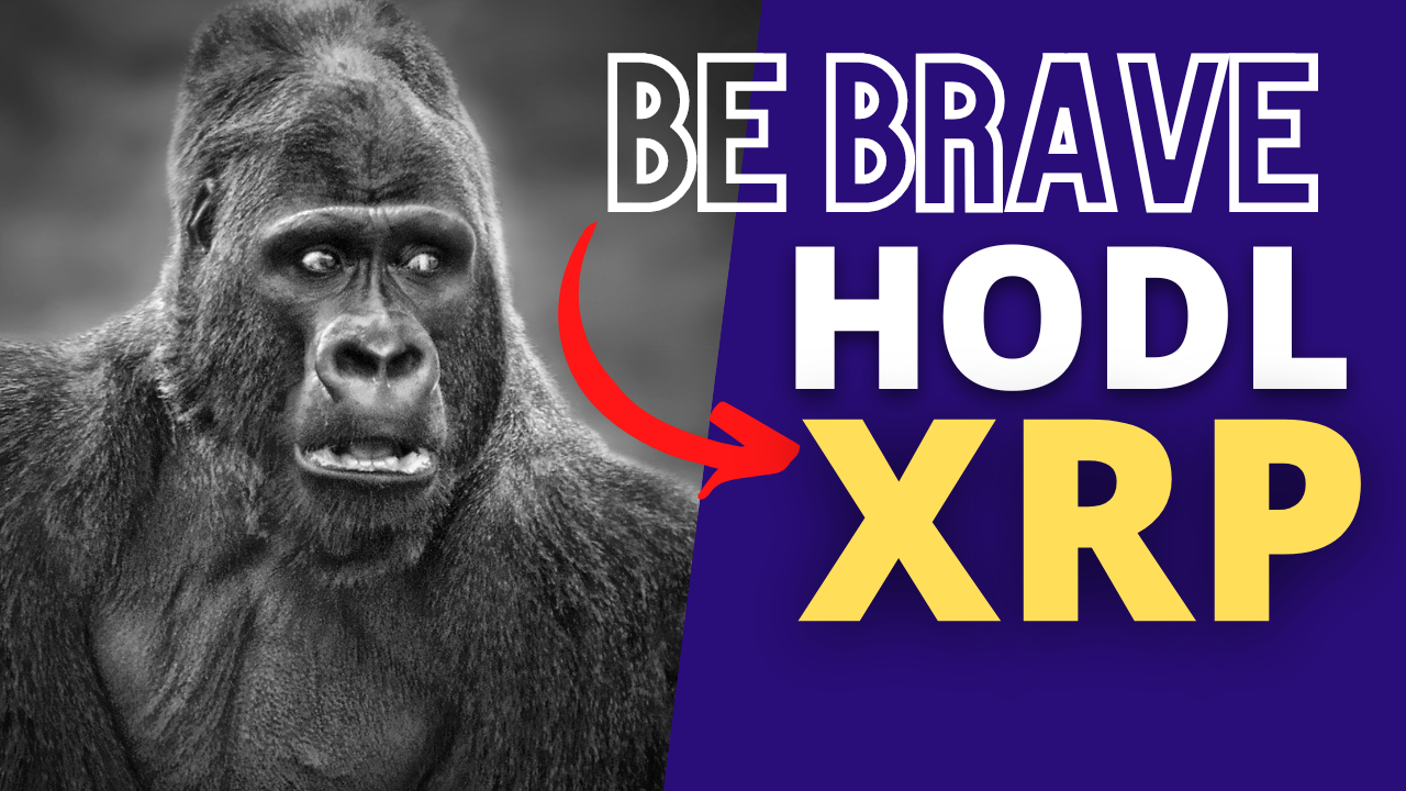 XRP - SEC Goes After XRP Holders and Deaton - The End is Near