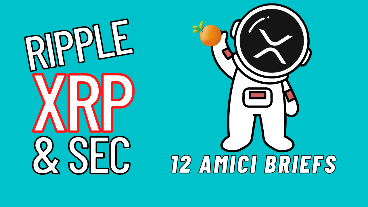 XRP to All Time High - 12 Amici Briefs Filed for Ripple - The SEC Caught