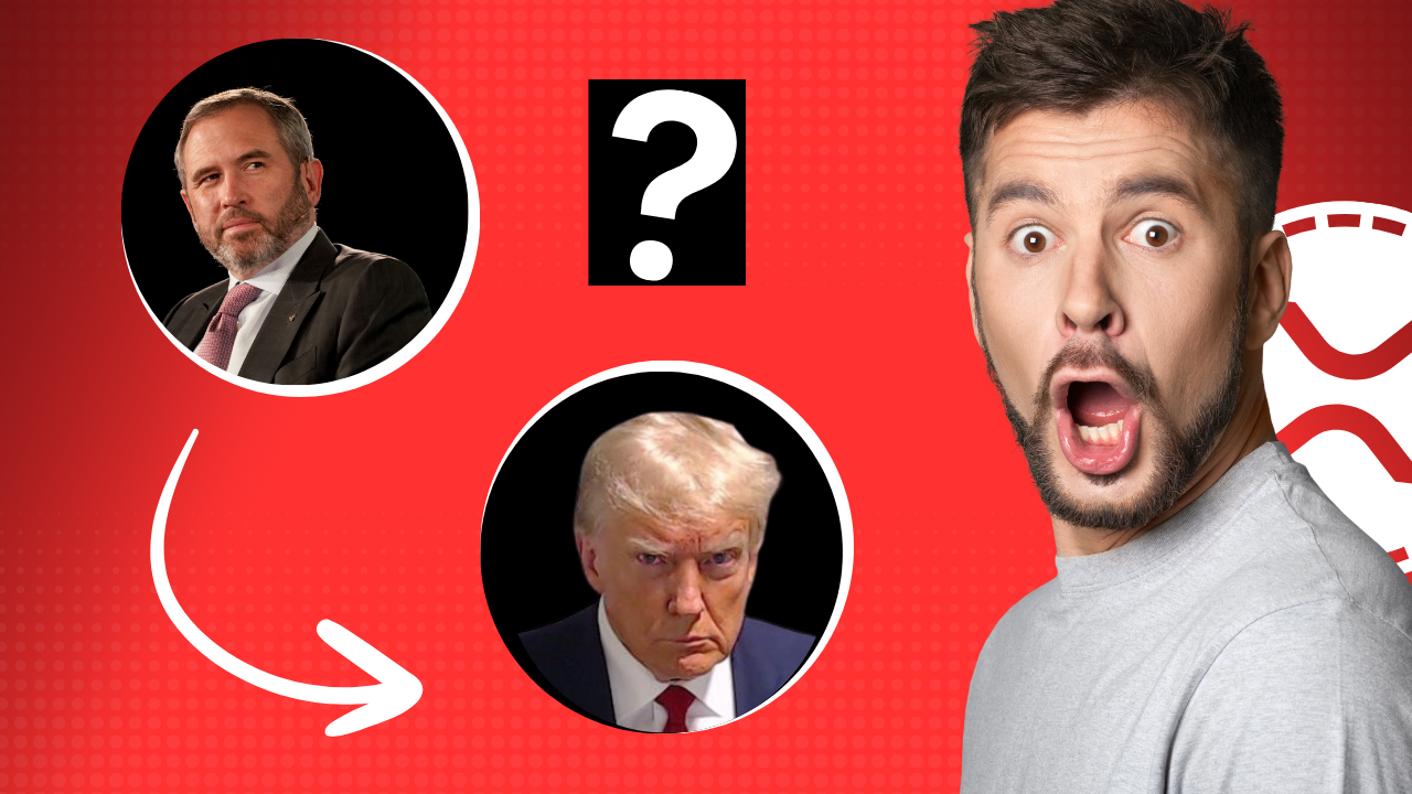 Ripple / XRP:  Brad Garlinghouse a Trump Supporter?