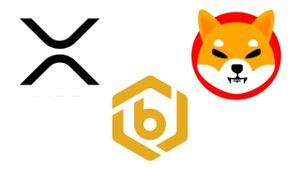 Ripple Is ISO 20022 Compliant - XRP Is NOT - Bitrue Yields and Shiba's DAO