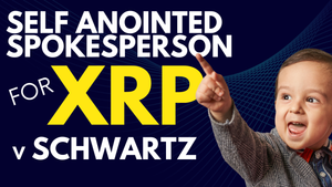 Ripple XRP - David Schwartz Get's Real on Bitboy - TIME to FOMO Into BBC