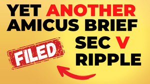 XRP - SEC v Ripple -  Another Amicus Brief Request Filed - David Schwartz Shares More