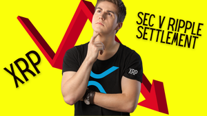 XRP Holders Big Bags - Ripple Has No Incentive to Settle - SEC is Wrong - IRS Delays $600 Reporting