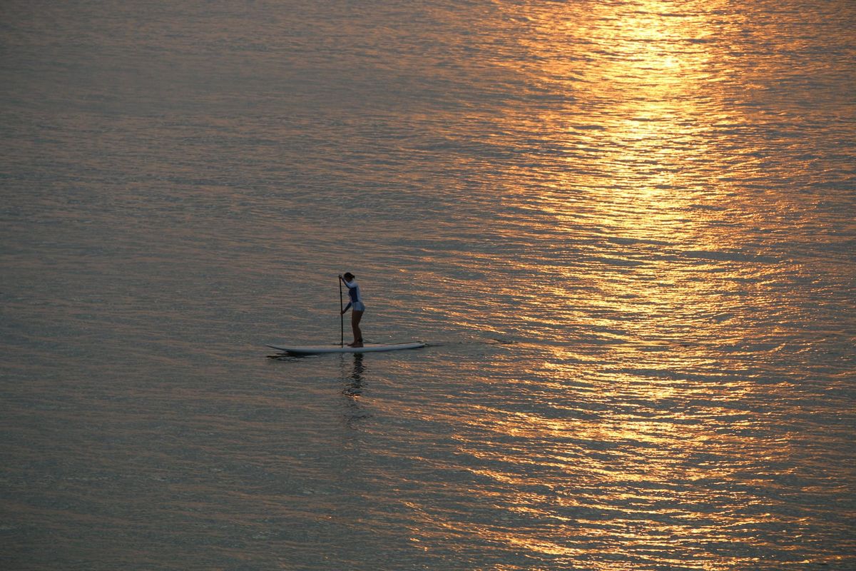 Everyone and their dog is suddenly paddleboarding and here's why