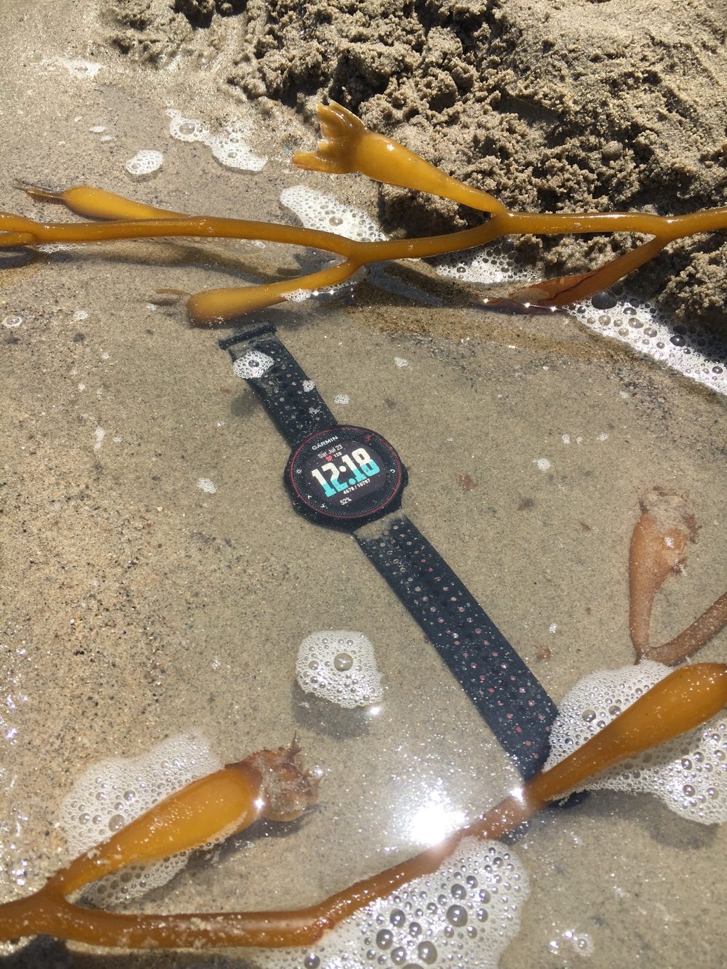 Garmin Forerunner 235 img_0987