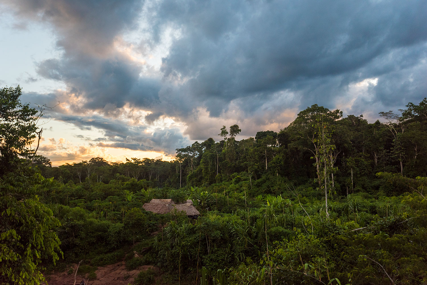 The sun sets over a cluster of Matsigenka houses. Communities in the restricted area are made up of several widely spread groupings such as this, mirroring traditional Matsigenka settlement platforms. Photo: Lina Collado