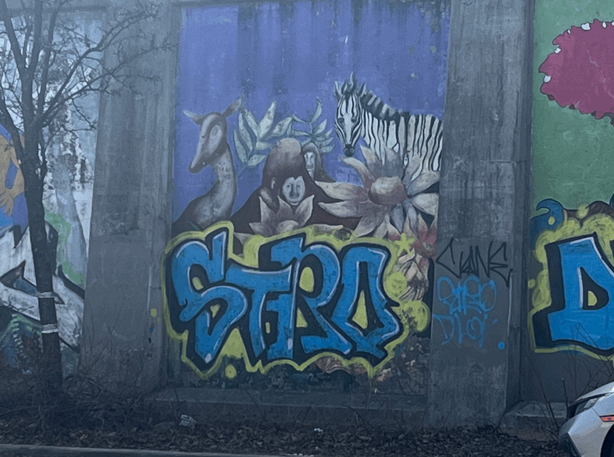 How a Gorilla in Chicago Made Me Think About Yuru-chara