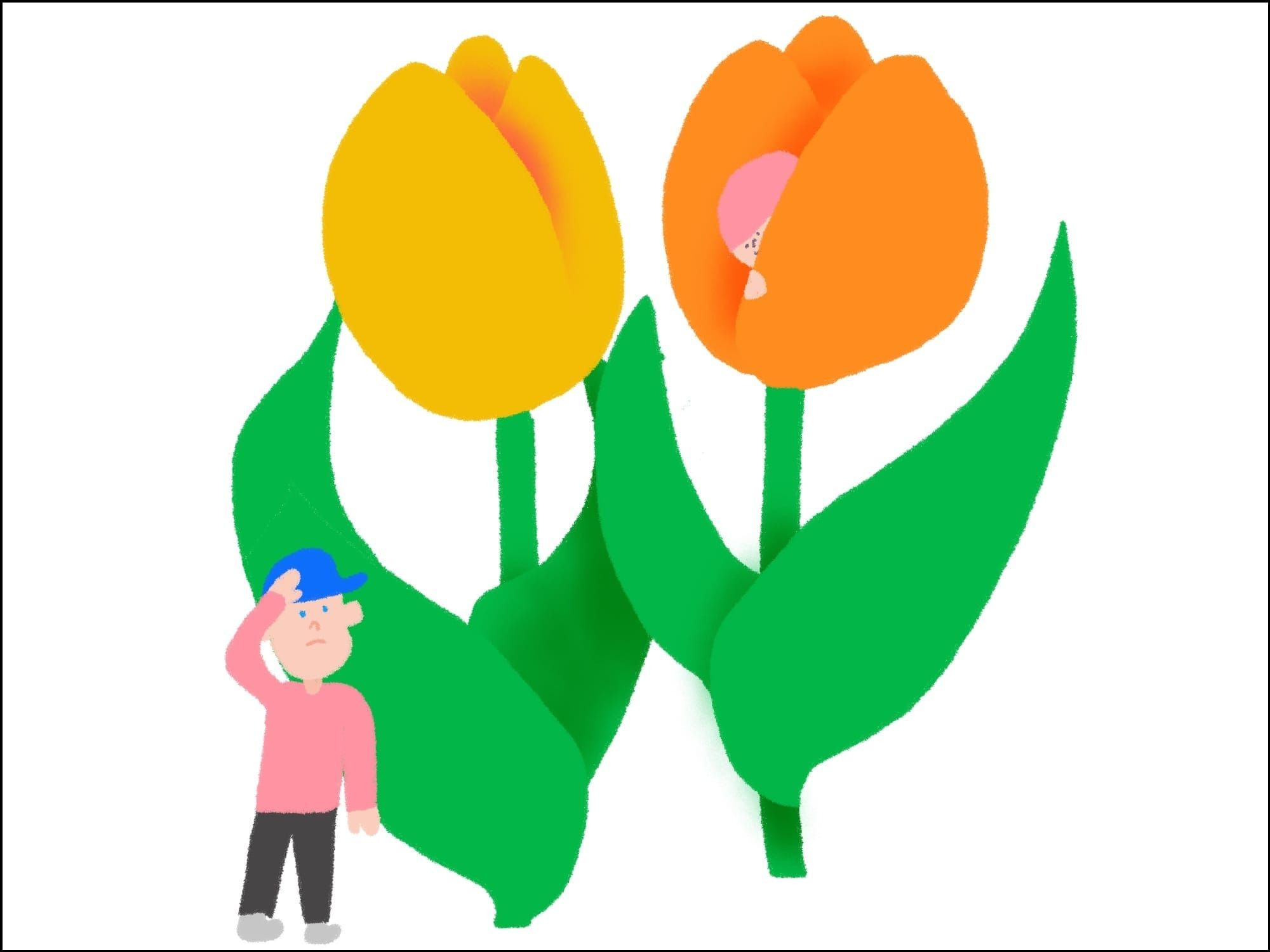 Can't Stop Daydreaming About Blooming Tulips