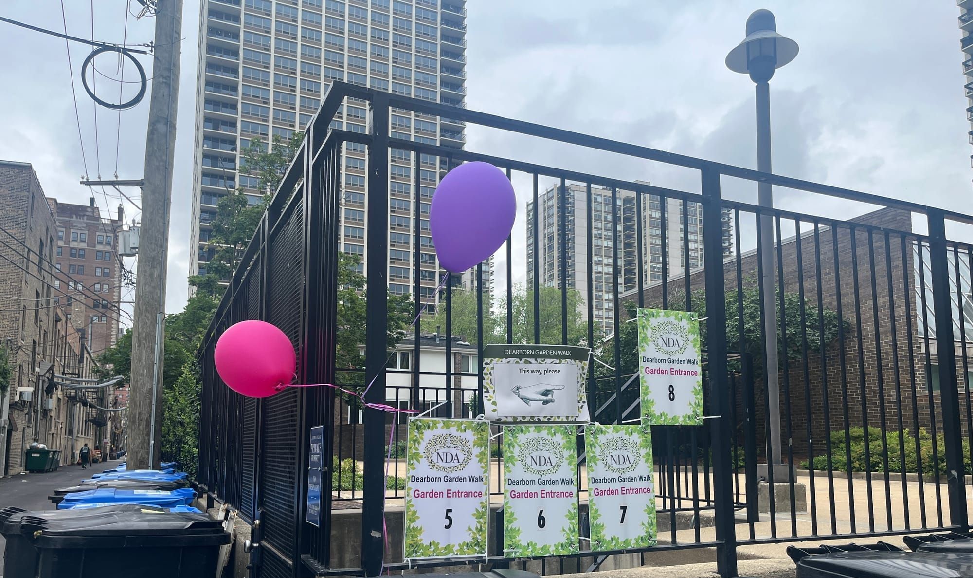 A Surprise Garden Walk!