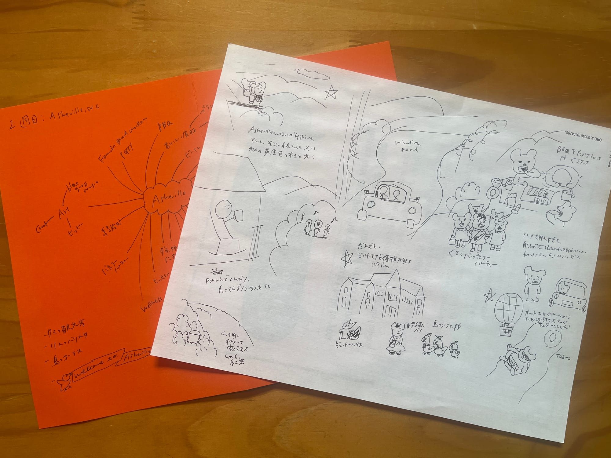 Week 2 at My Imaginary Art School: The Asheville Theme