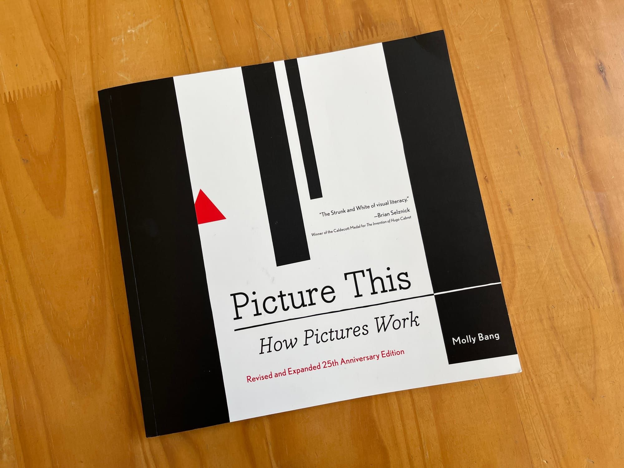 What I Learned from Picture This