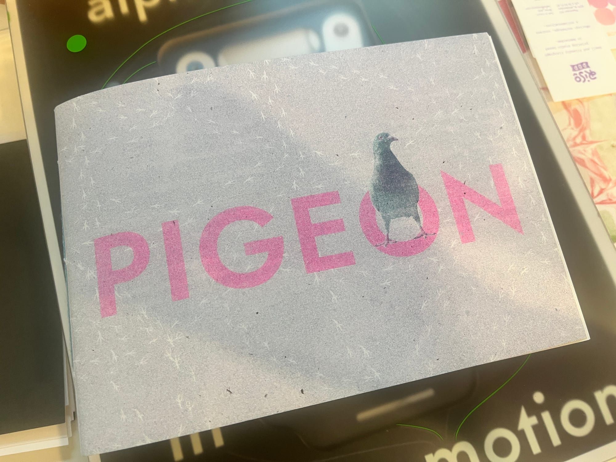 Researching Riso—and Rethinking Pigeons