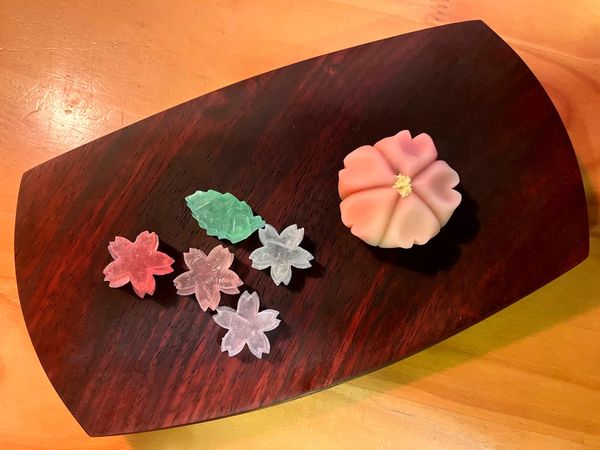 Sakura Wagashi, a Taste of Early Spring