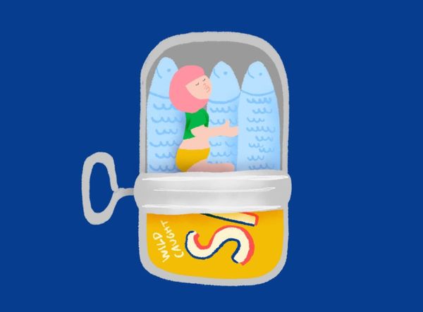 Sardine Love: Can’t Explain It, Just Feel It!