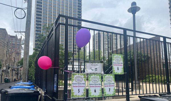 A Surprise Garden Walk!