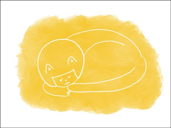 Today I’m Just a Cat