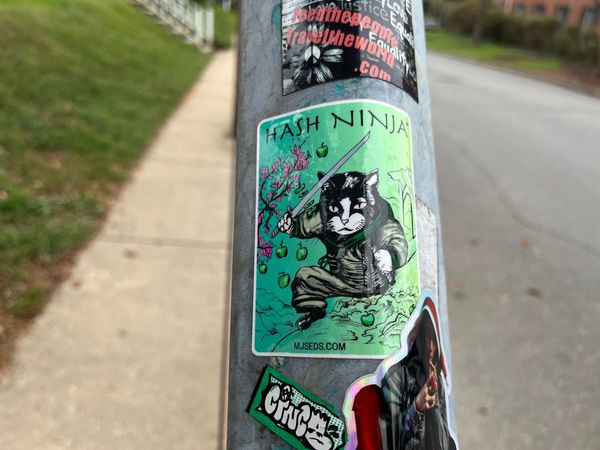Street Art Forage in Asheville